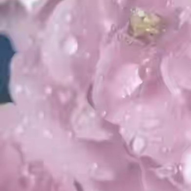 一片叶落，山河已秋；一阵秋风，思念更深。回首，几朵心事在岁月的枝丫上盛开，往昔若