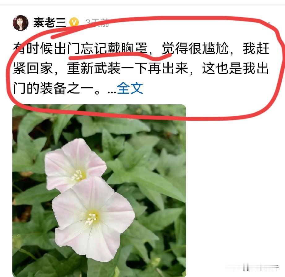 素老三拔出门忘带胸罩这事写出来就火，那我昨天上厕所忘了拿纸是不是也能火？
为啥人