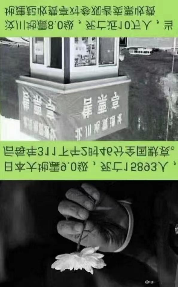 名医治好100多个痛风患者，基本就是这一个方子[赞啊] #中医式生活# 导读 痛