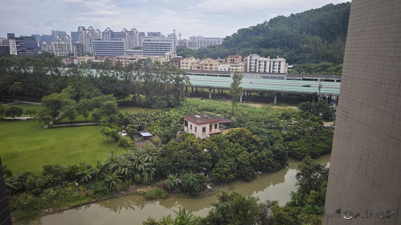 在滨海珺城旁边的独立小村屋，种树种香蕉，大院子可以种菜，还能养鸡养鸭。这不比所谓