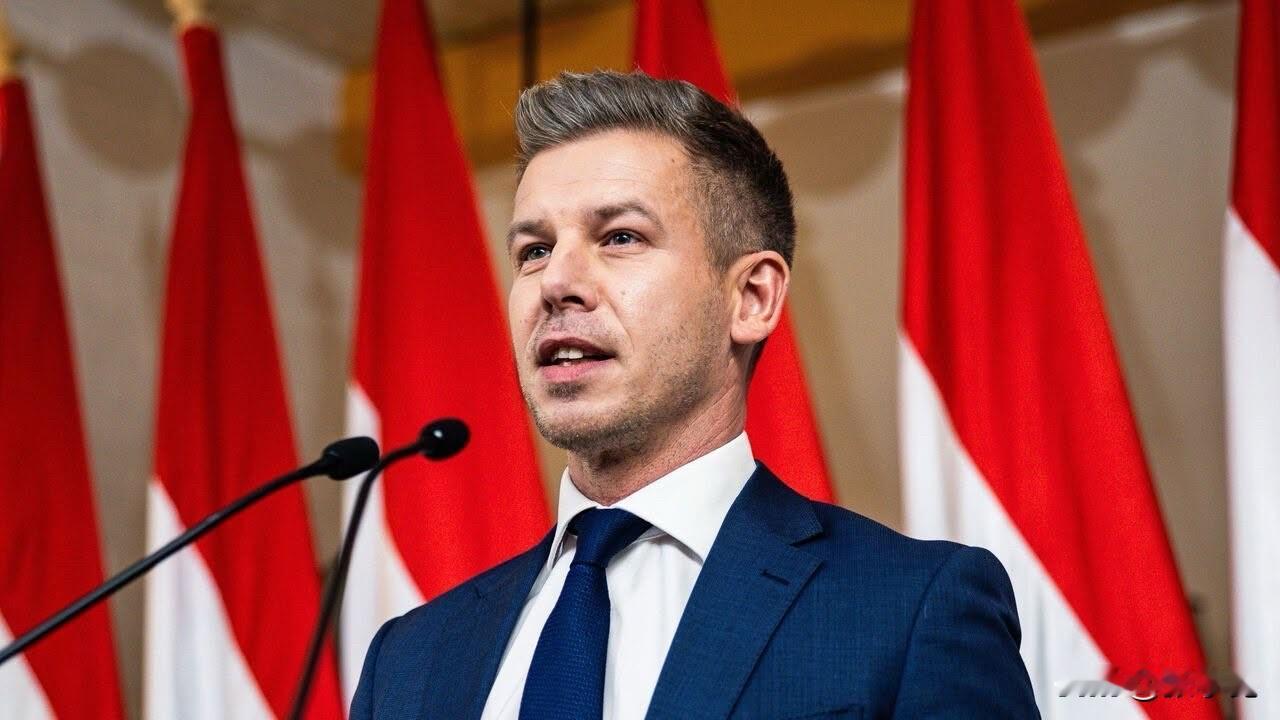 匈牙利新当选总理毛焦尔・彼得发表胜选演说称：“匈牙利将再度成为欧盟和北约的强大盟