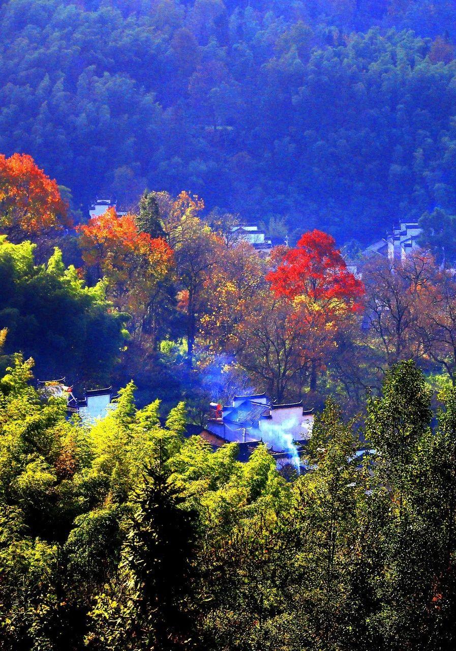 人与人之间走着走着也就散了，所以说不要对某一个人抱有过高的期望，尤其是成年人的世