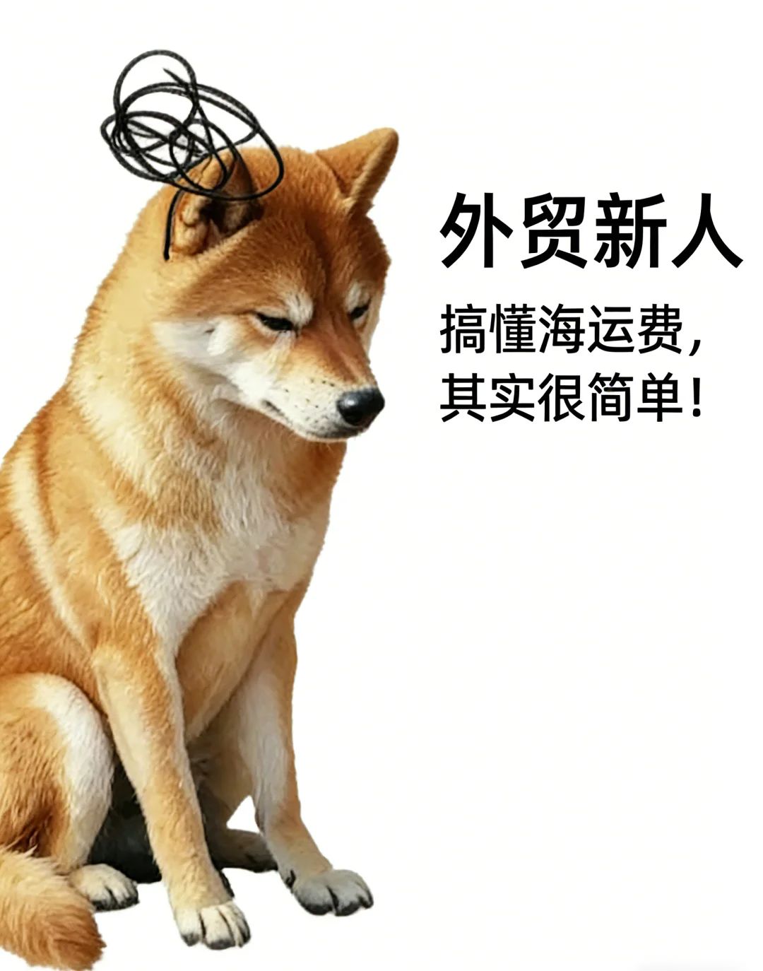做外贸，搞懂海运费就是对我的收入负责