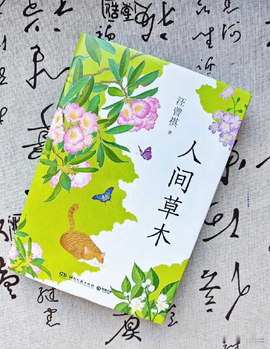 夏日最适合读读书，静静心，夏日来读汪曾祺的文字吧，读《人间草木》，感悟一草一木皆