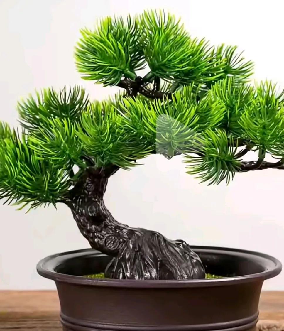 哎呦喂，出大事了啊姐姐们家人们；你们听到宽哥哭泣的视频了吗？知道为什么那么伤心吗
