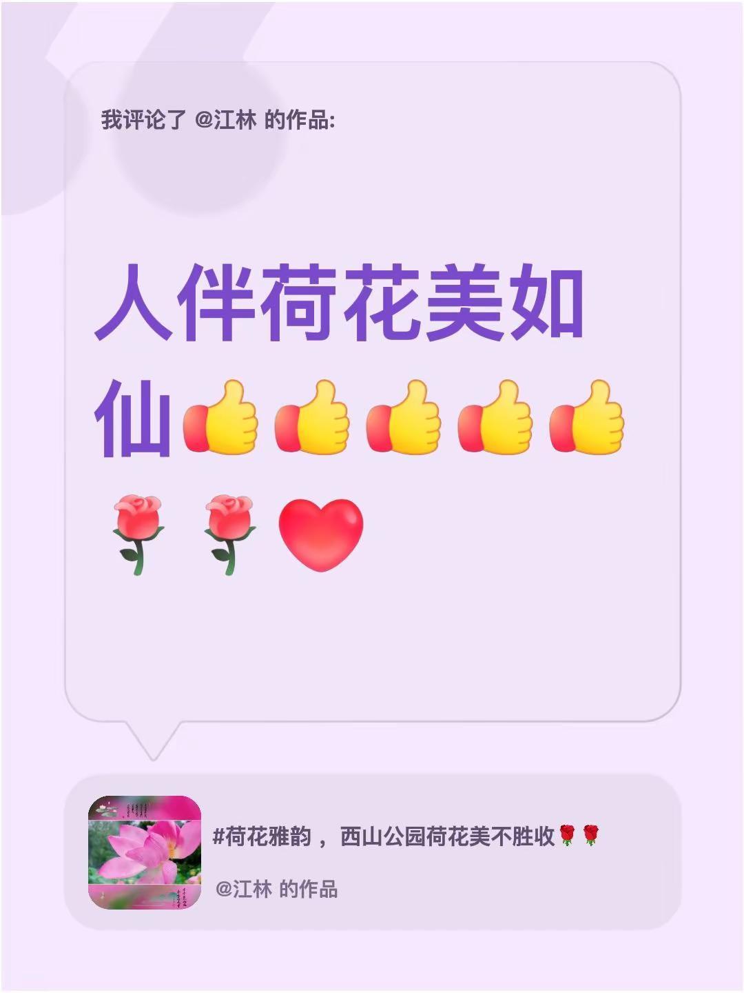 人花同美。我评论了@江林 的作品：人伴荷花美如仙