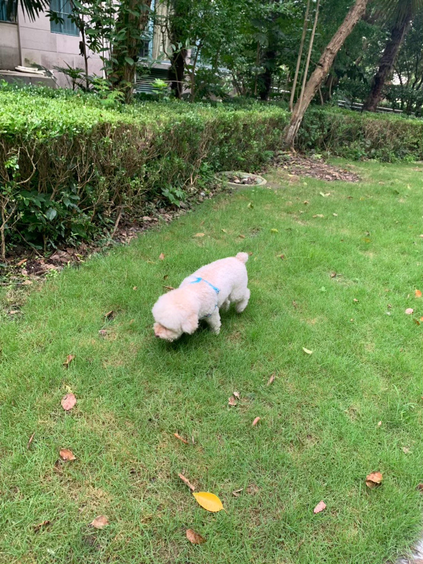 施肥施肥 