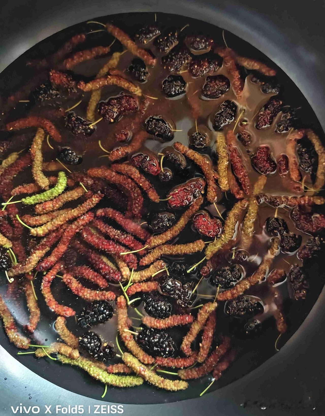 桑葚不能即摘即吃。

昨天吃过晚餐，又去朋友的桑葚园摘桑葚，朋友们边摘边品尝，那