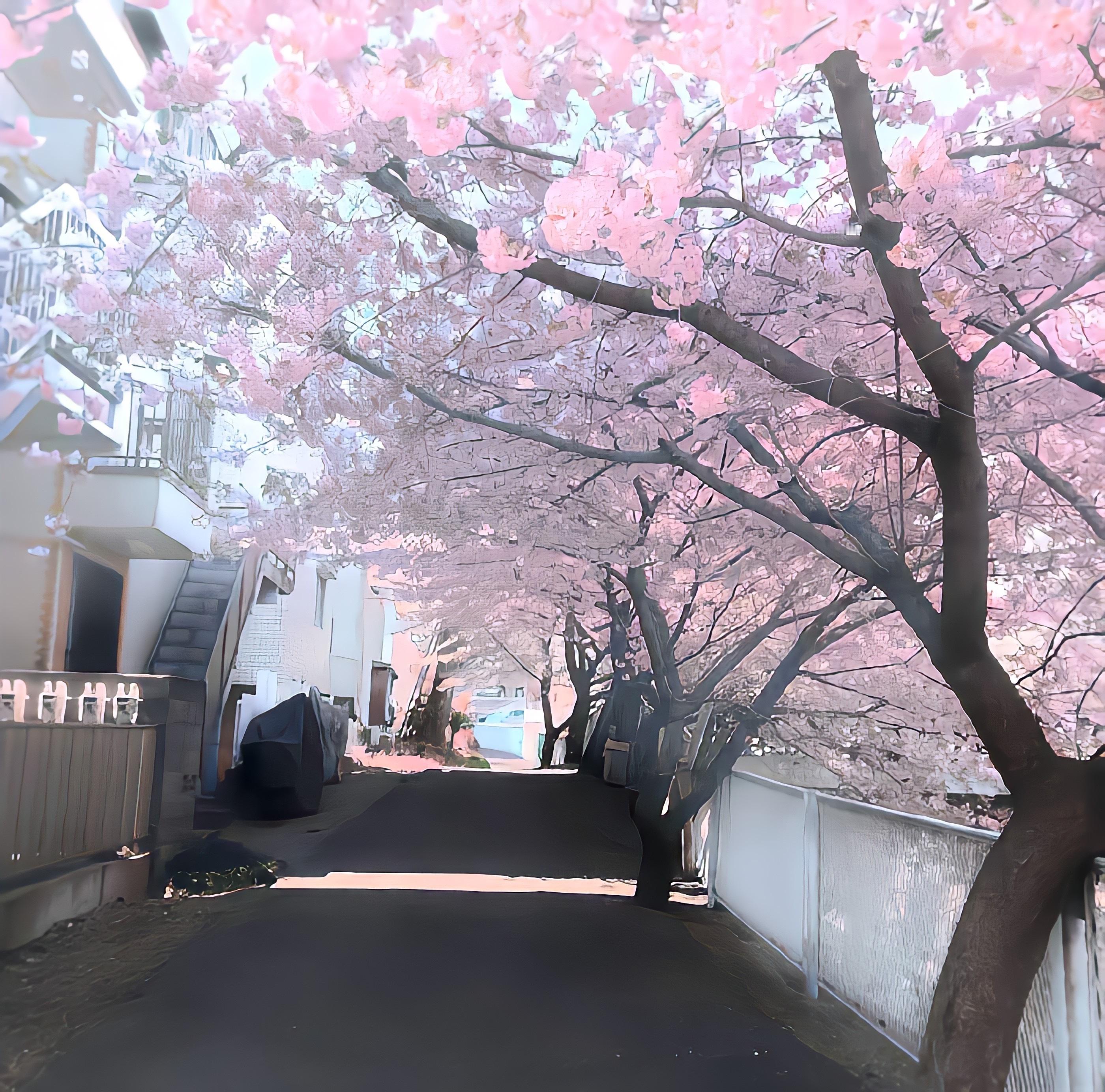 𝗪𝗲𝗖𝗵𝗮𝘁 朋友圈背景图 ​​​