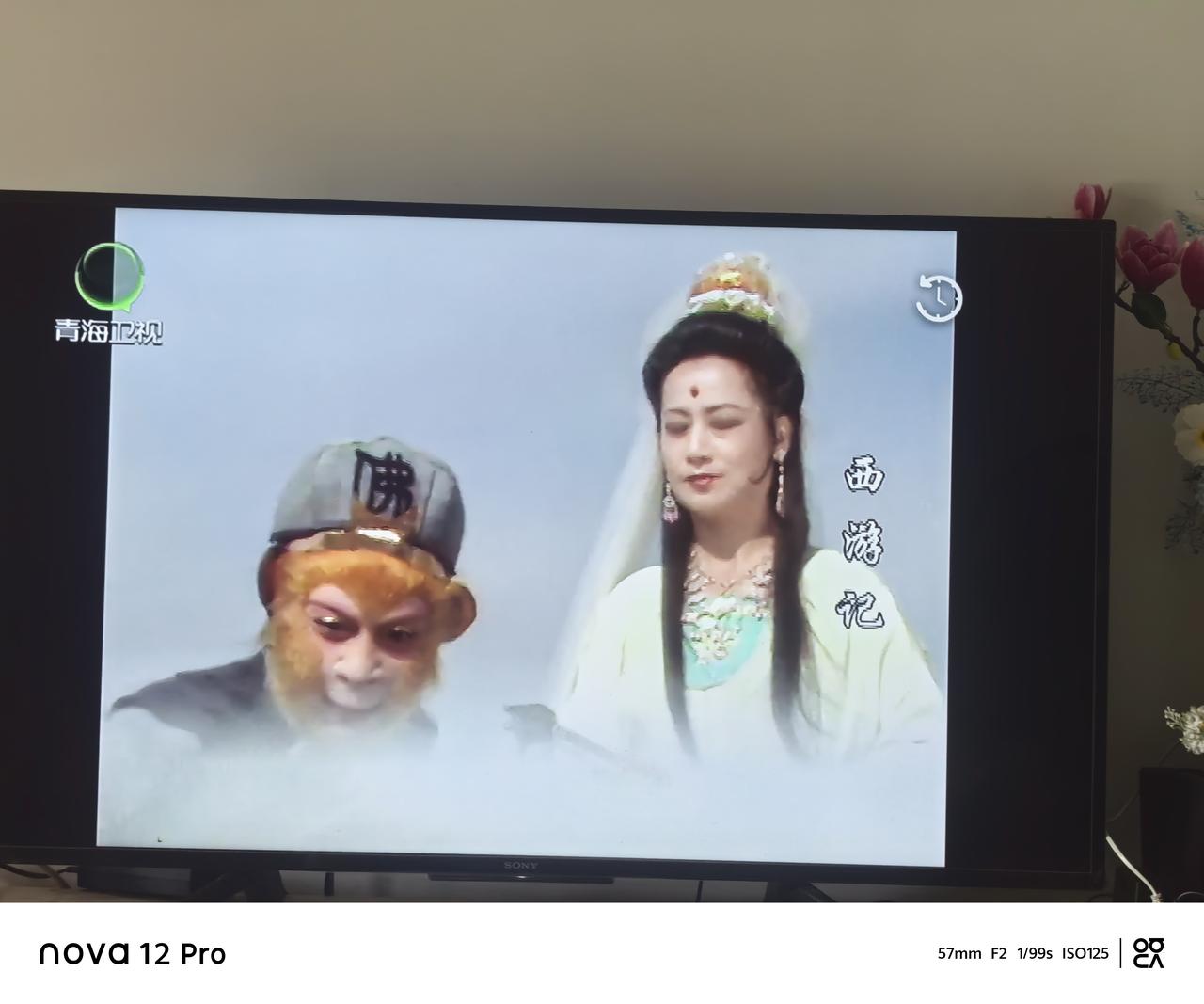 做的的坏蛋被抓了，
原来是有后台，
否则一个狮子这么厉害？？
呼风唤雨啊😦😦