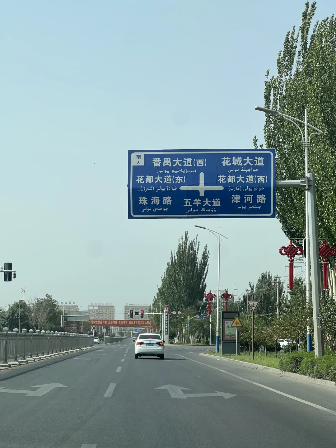 这里不是新疆！是广东！粤港澳大湾区