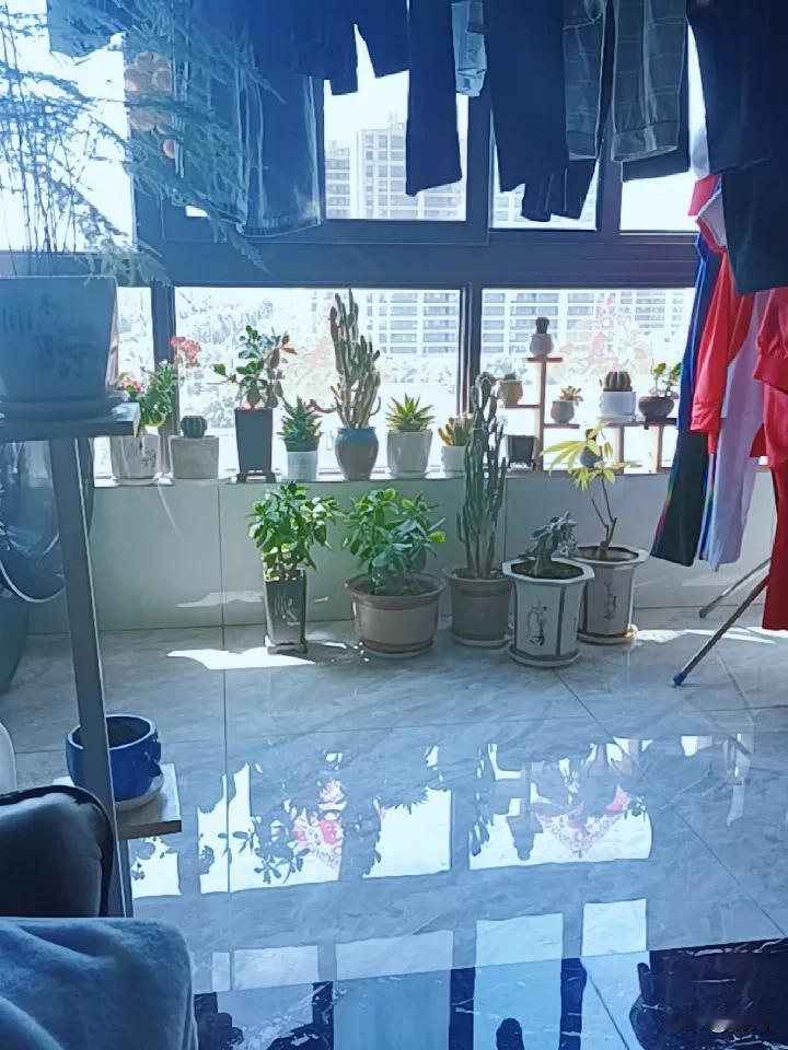 如果有电梯你还会自己爬山吗要看什么情况，如果山不太高，自己能接受，还是选择自己爬
