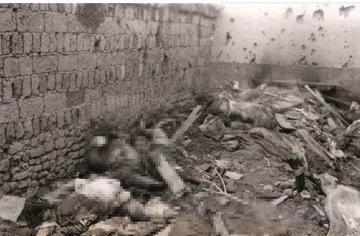 1945年8月，日军宣布投降后，11名日军逃到了辽宁太平房火车站躲避，没想到的是