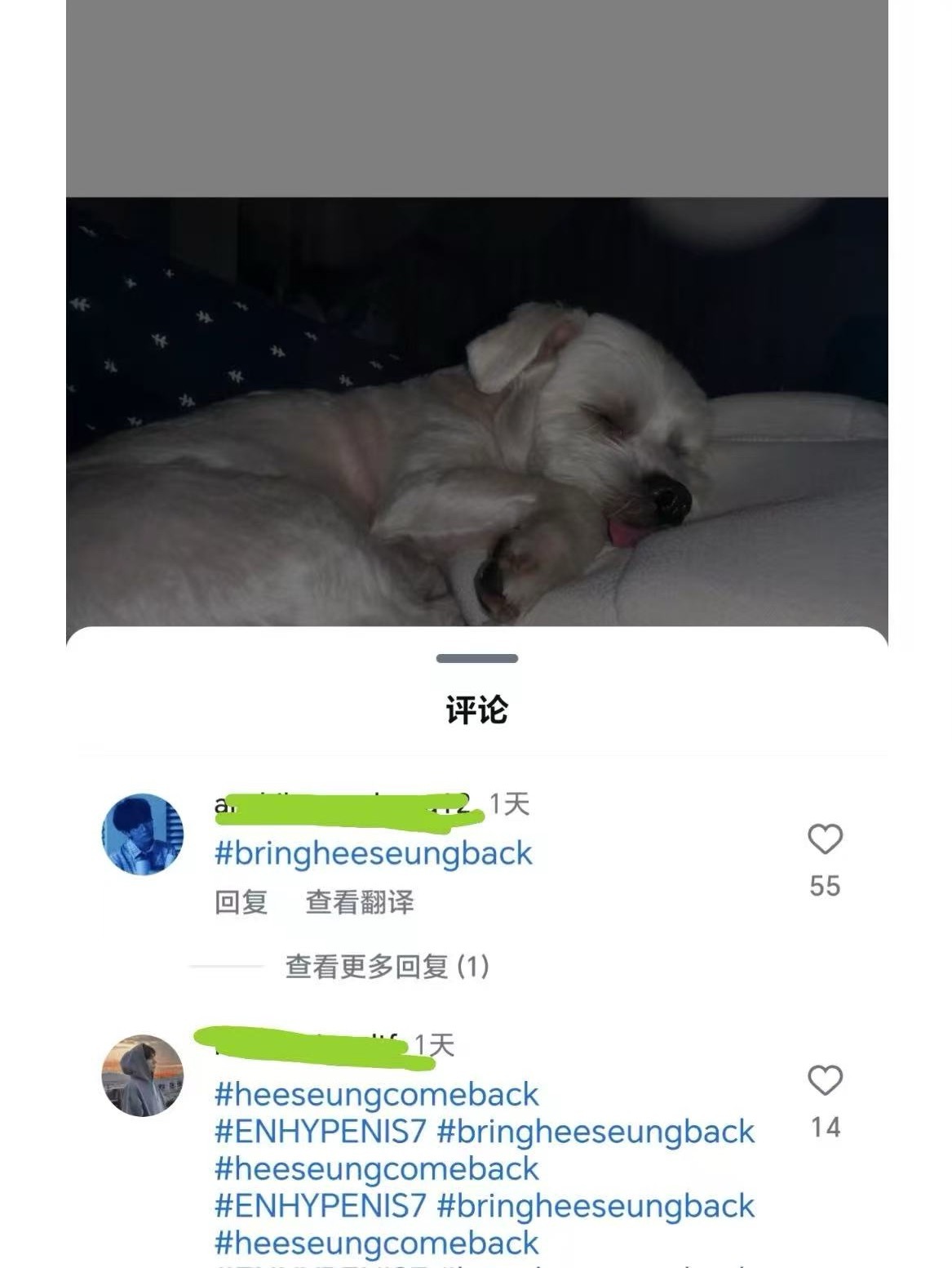 洋恩静目前正在对梁祯元的宠物狗账号发起攻势“我们需要羲承回来”“enhypen 