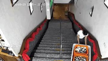 看到开头，已经猜到结尾了

        什么叫量力而行，因为太高估了自己，所