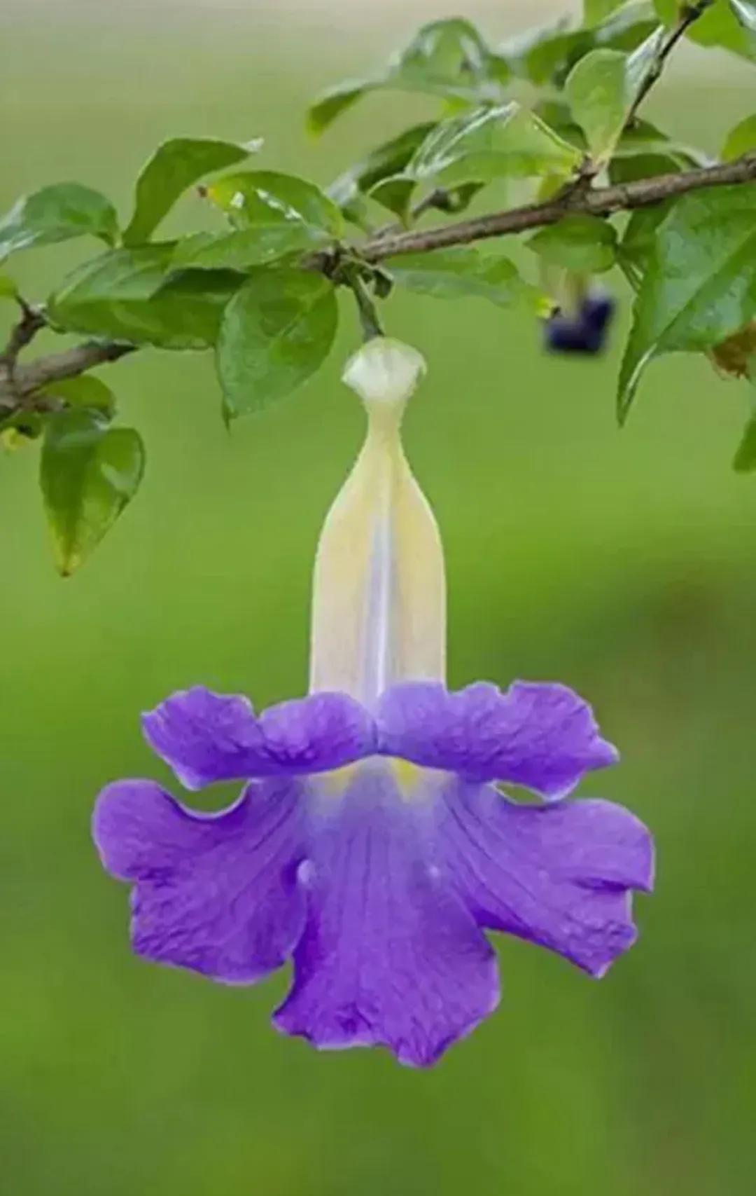 饿的感觉

饥饿是人类最基本的要求之一，一口食物都是我渴望的滋味，感觉饥饿在内心