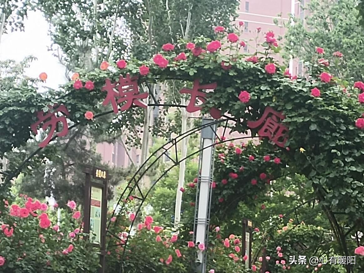 分床不是疏远，是心疼对方，各自睡踏实，白天聊天遛弯反而和睦。
 
可也不少老人说