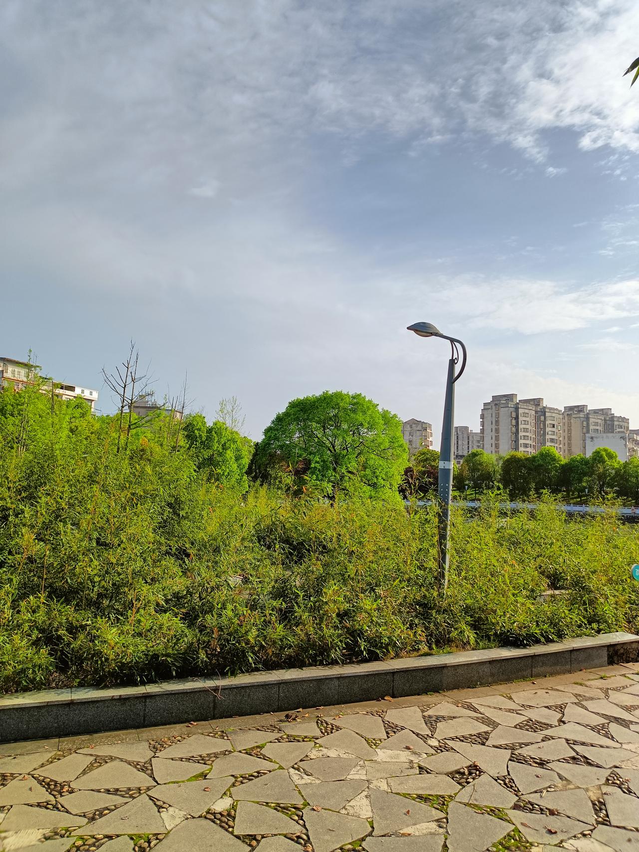 凡尔赛式的言说，总在不经意间惹人生厌
 
不知从何时起，社交场里悄然出现一种奇特