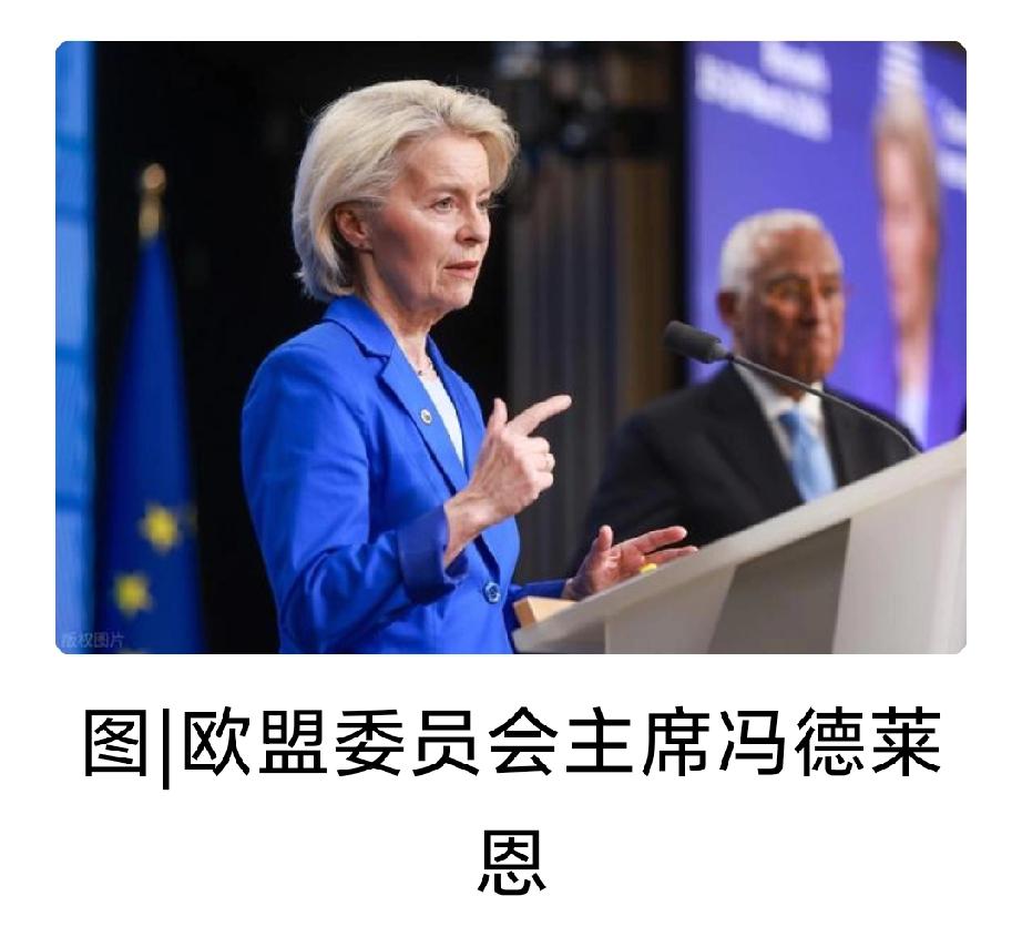 法国媒体算是把欧盟的窘境给说透了。欧盟现在纠结的不是要不要对中国强硬，而是根本找