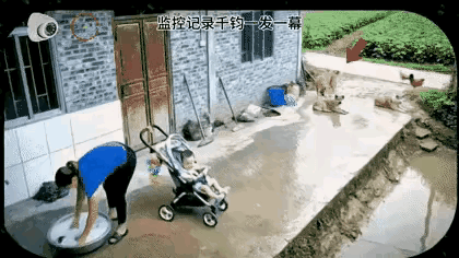 这样的狗狗太有灵性了，在关键时刻能够保护好小主人，希望主人好好的照顾她。