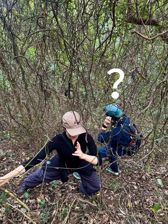 没事别来打鼓嶂 会疯