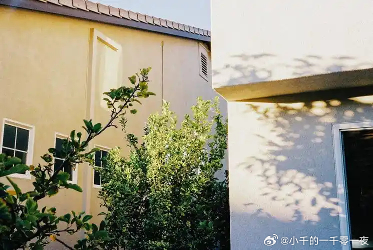 新周开始🗓️记录生活