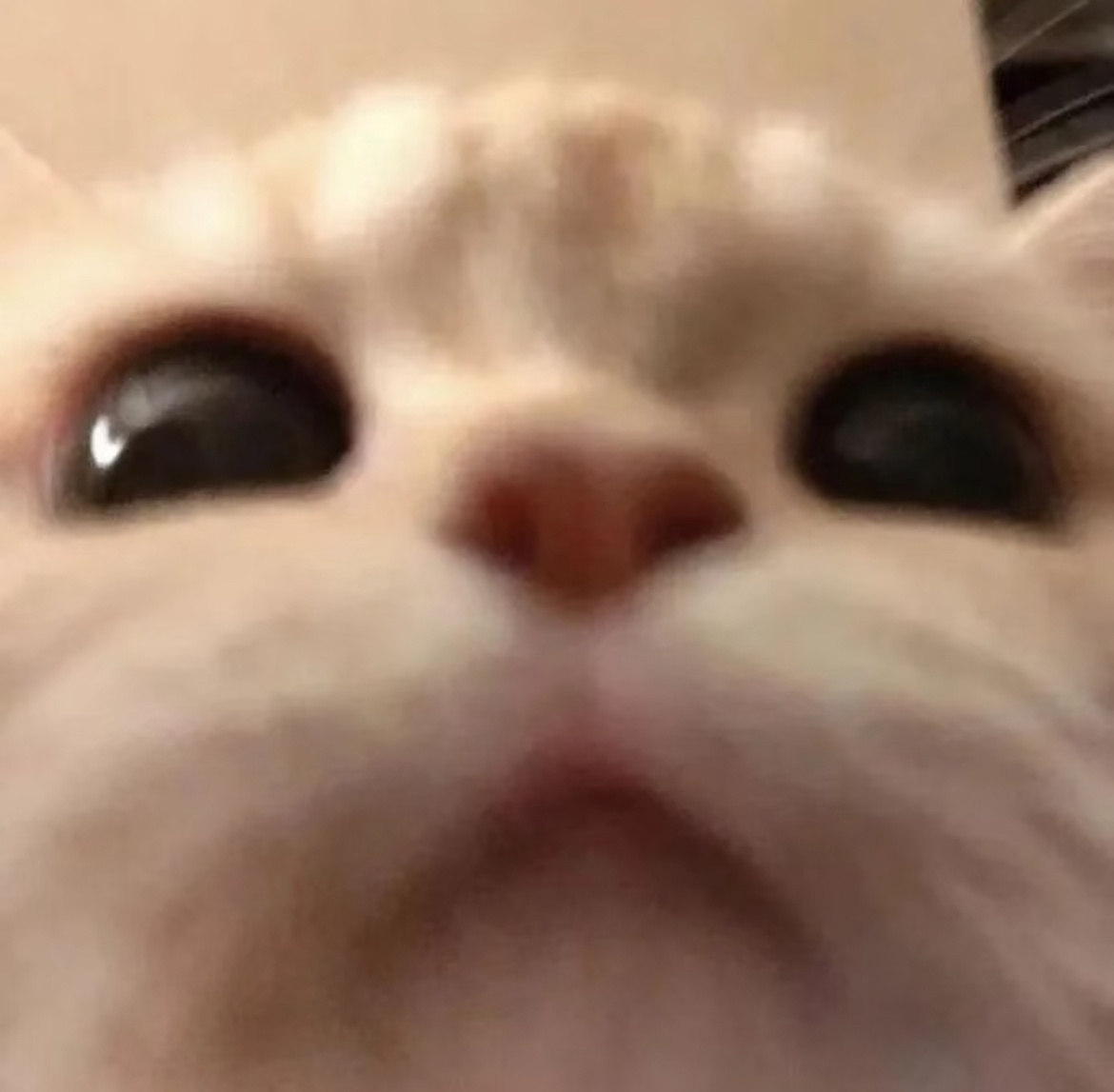 【5050】沉睡的猛兽苏醒！！ 