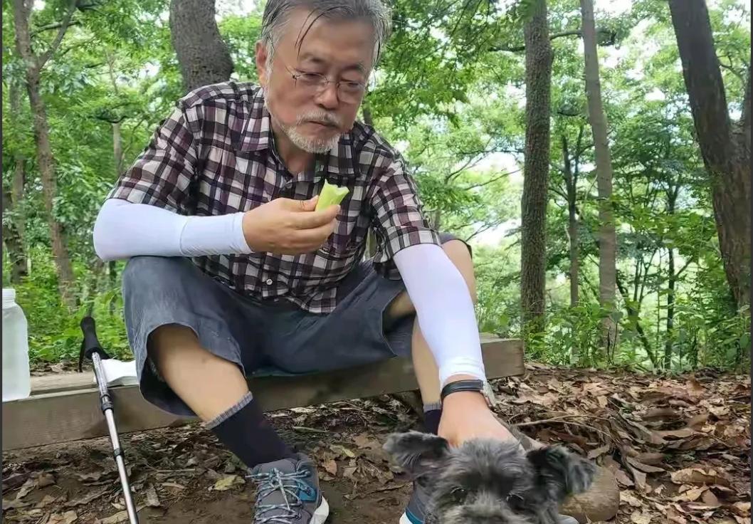 退休后的文在寅，一个月退休金1400万韩元（约人民币7万），配备65名警卫，整天