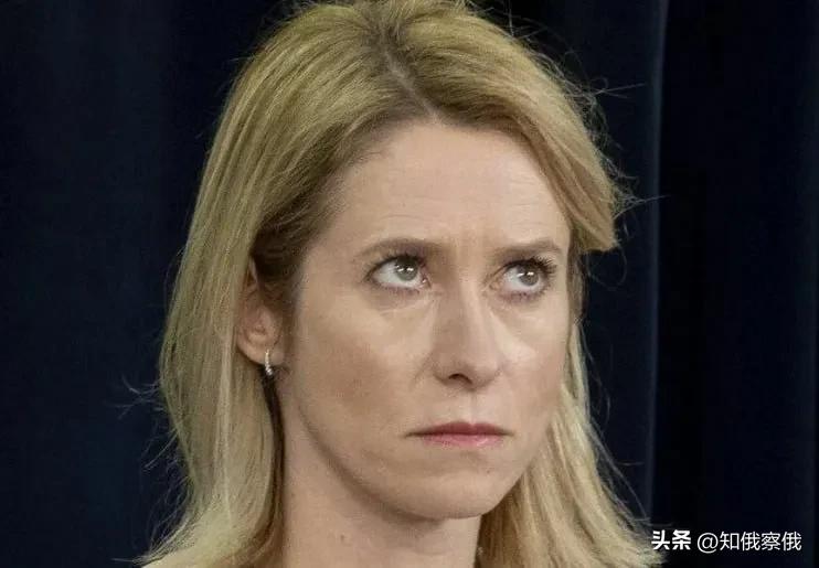 德国领导人长得太像，把欧盟外长卡拉斯弄晕了

欧盟外事领导人卡拉斯把德国两位政治