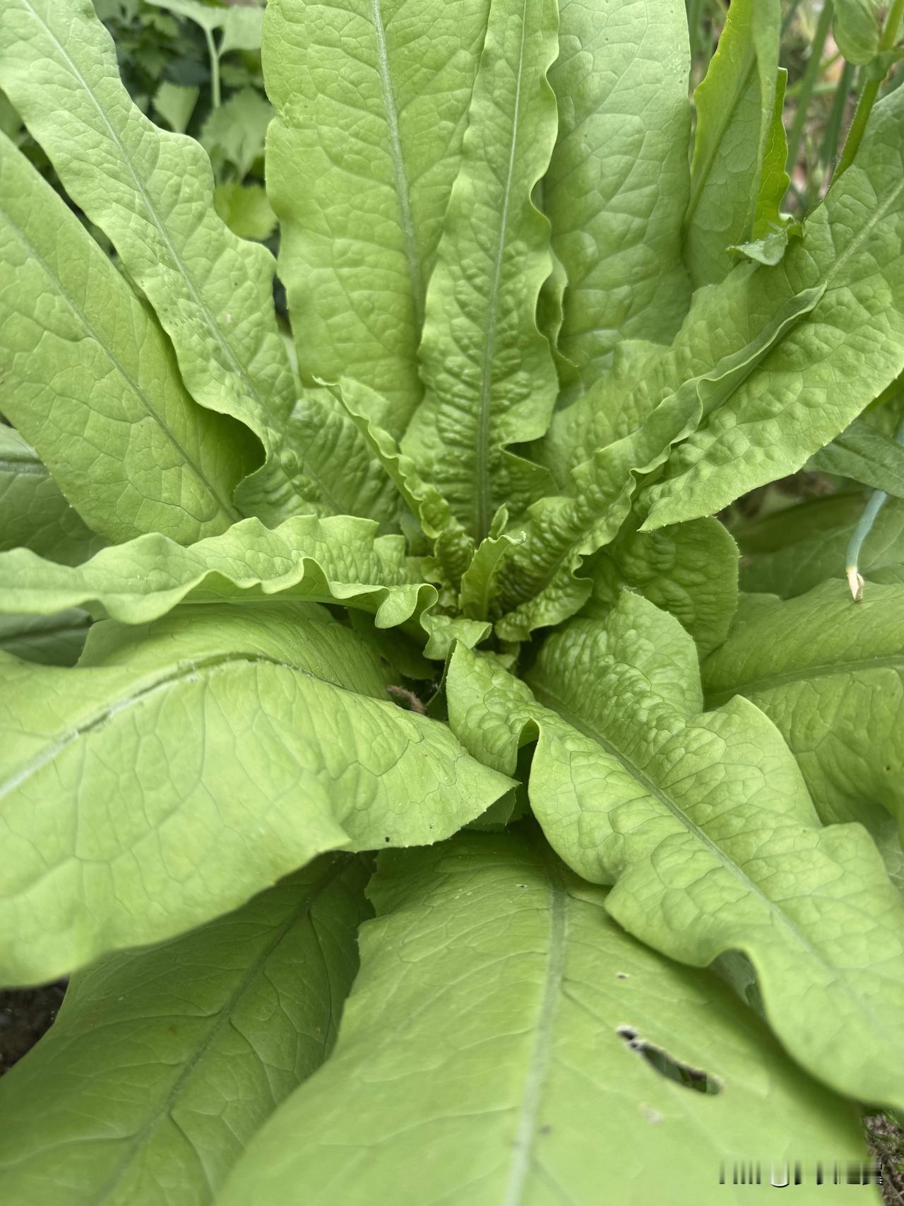 【小对联】
上：出卖；
下：……？