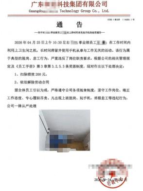 广东一科技公司试用期员工因在厕所长时间玩手机被辞退，公司竟将其如厕玩手机的照片附