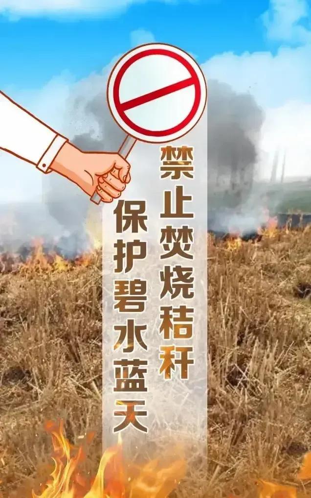 我国每年焚烧秸秆面积高达6000万亩，相当于2个法国！这烧掉的不止是秸秆，更是我