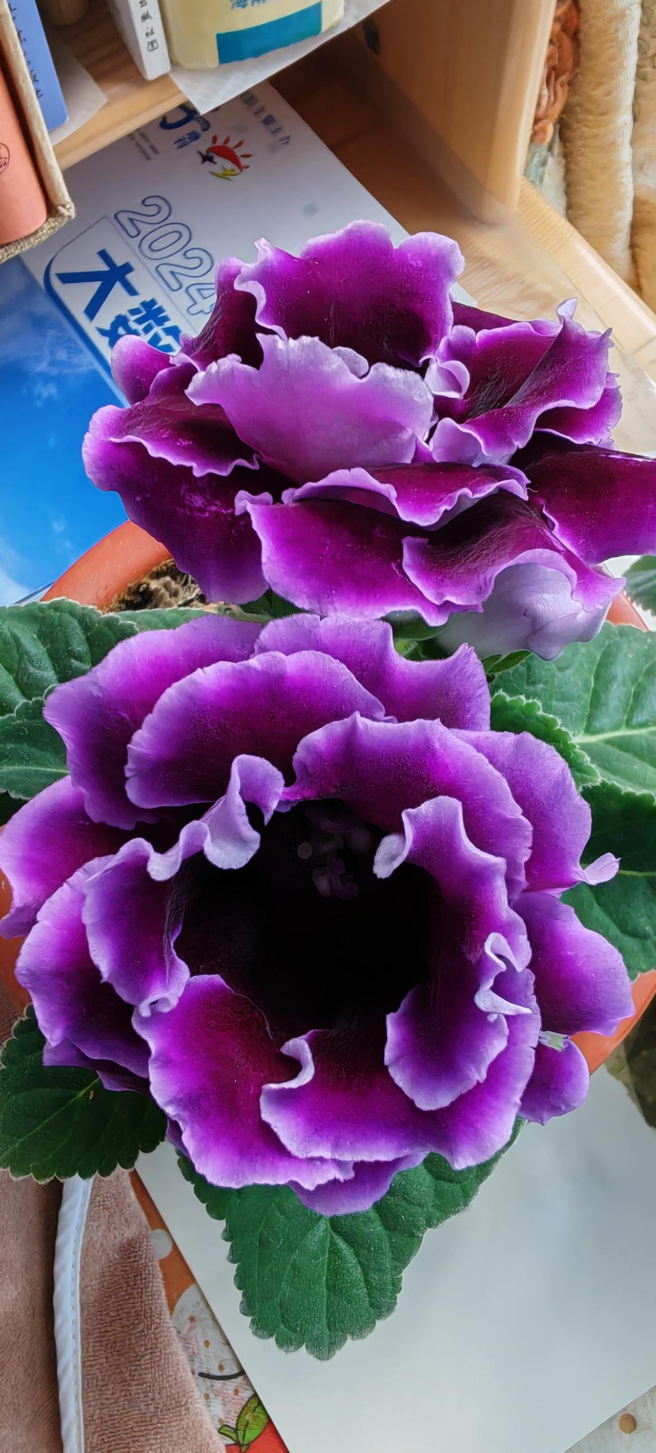 一个工科男参加中国第十五届病理年会，是什么感受？

日前，中国医学会主办的中国病