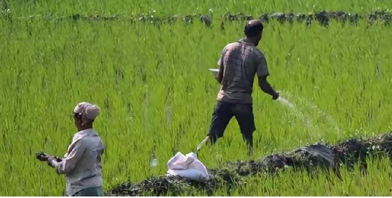 2026年春耕时，印度陷入严重尿素短缺危机，缺口达800万吨，直接威胁14亿人的