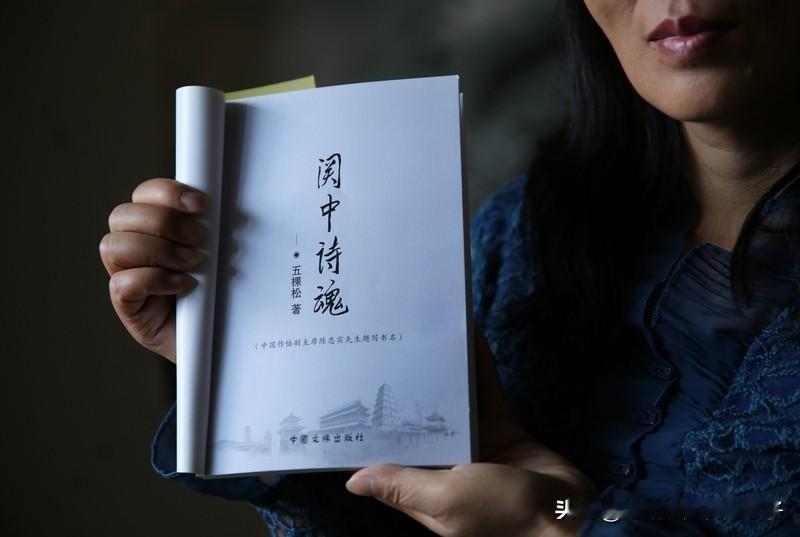 中国古代诗人写诗追求的是什么? 中国古代诗人写诗追求各有不同。像杜甫，一生潦倒却