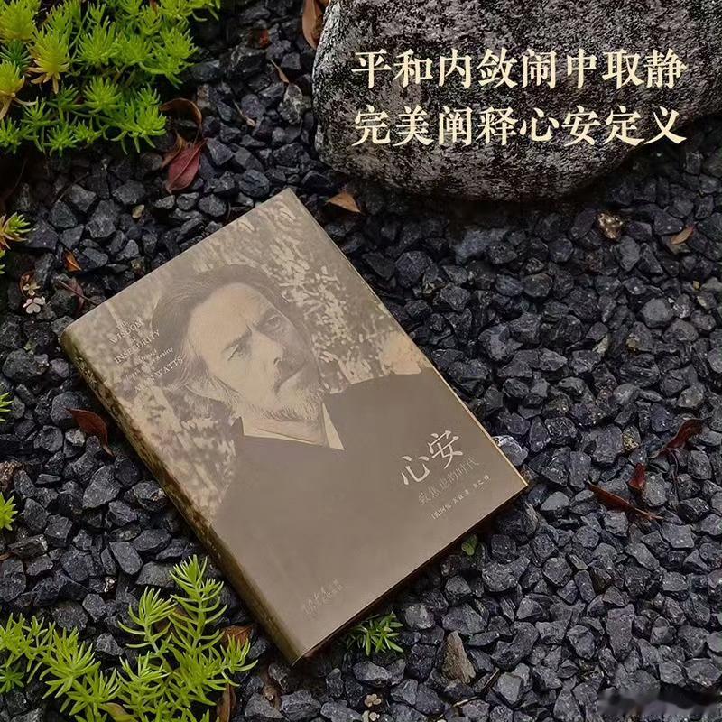 这届微小说作者全是狠人 微小说到底藏了多少神作  书评 《心安》如果你常常焦虑，