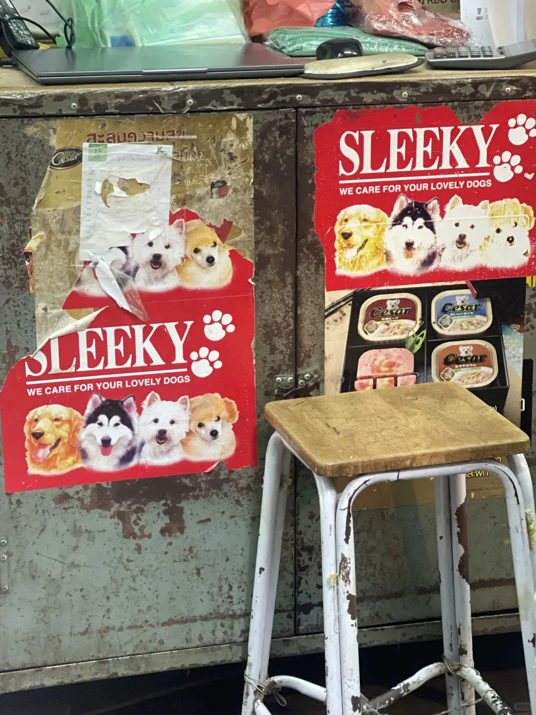 在曼谷 记得去乍都乍周末市场给小狗带特产！