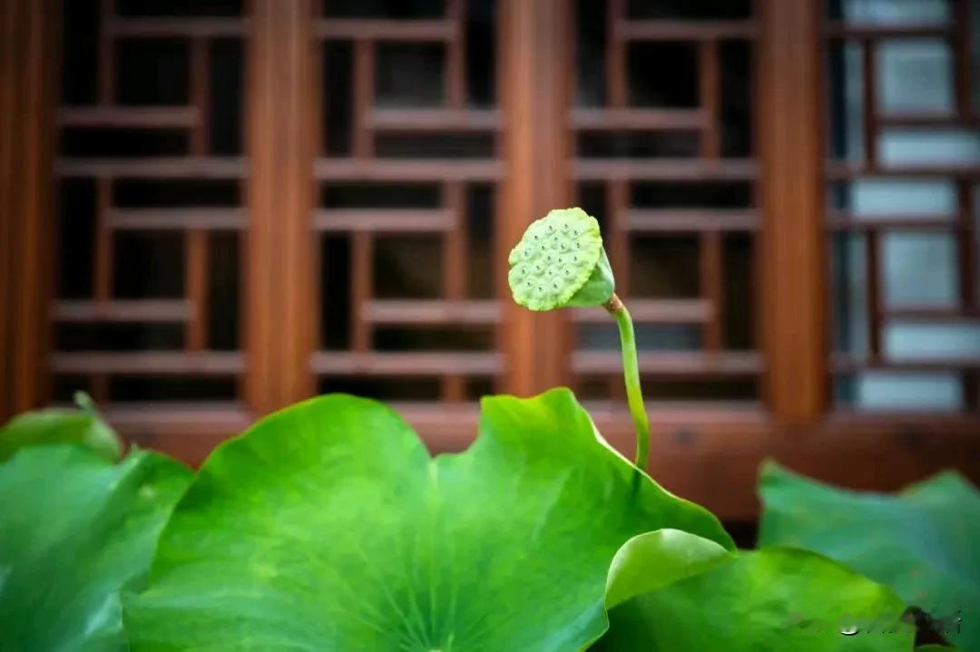 每日一禅|满足

人生的幸福，并非源自物质的丰富，而是源于内心的满足。

真正的