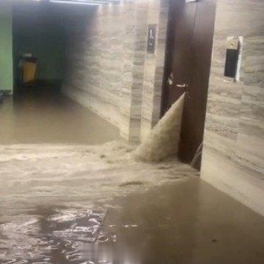 【#官方通报业主滥挖地下室致河水倒灌车库#】这栋楼的其他业主可被害苦了，有🐷 