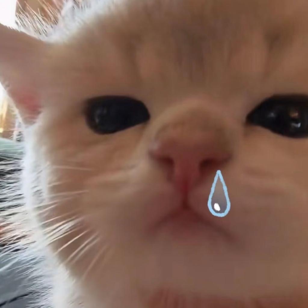 每天都能这么目不暇接的看雷朋就好了 