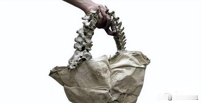 难怪西方人对旧西藏那么着迷呢，以前还天真的认为可以向他们揭露一下西藏贵族的种种卑