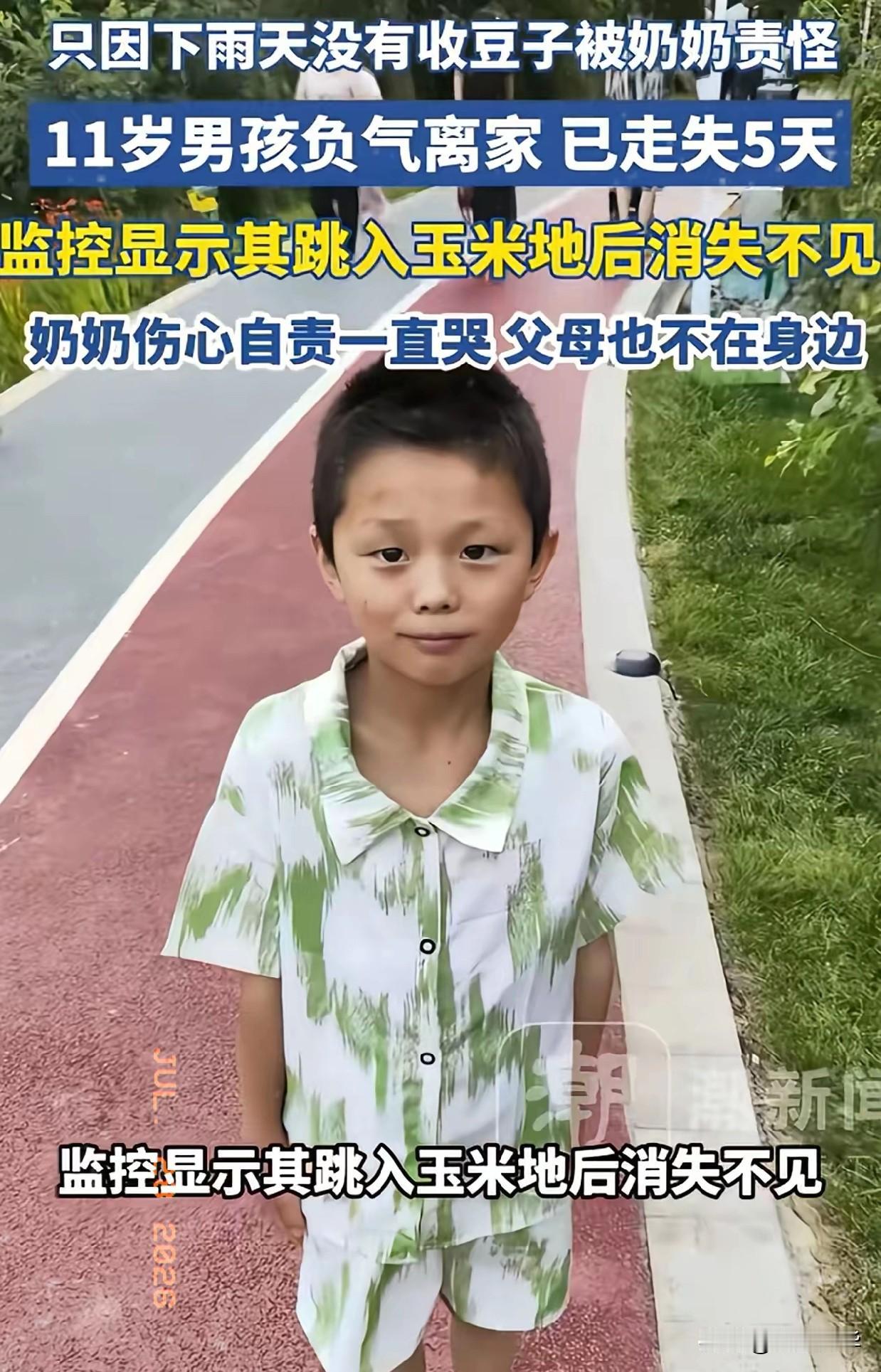 担心的事情还是发生了！云南昭通，11岁男孩因为忘了帮奶奶收豆子，被奶奶痛骂，一赌