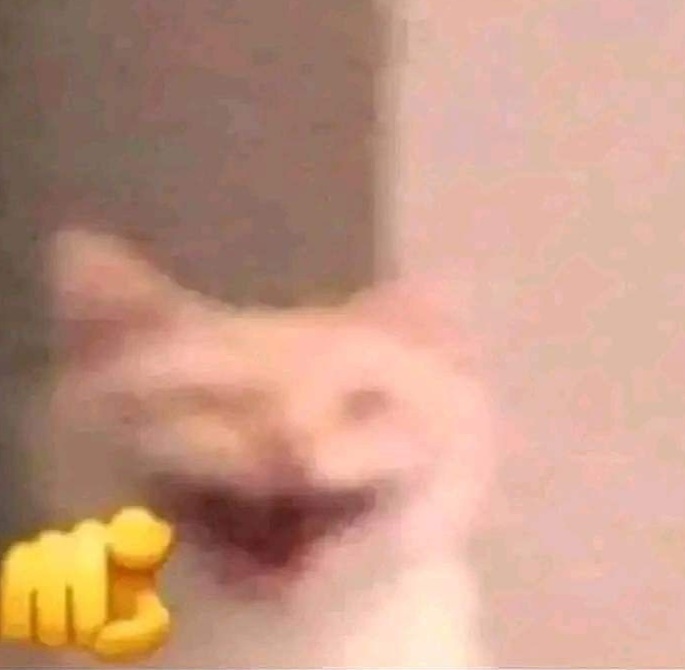 和emoji完美适配的猫猫们 ​​​