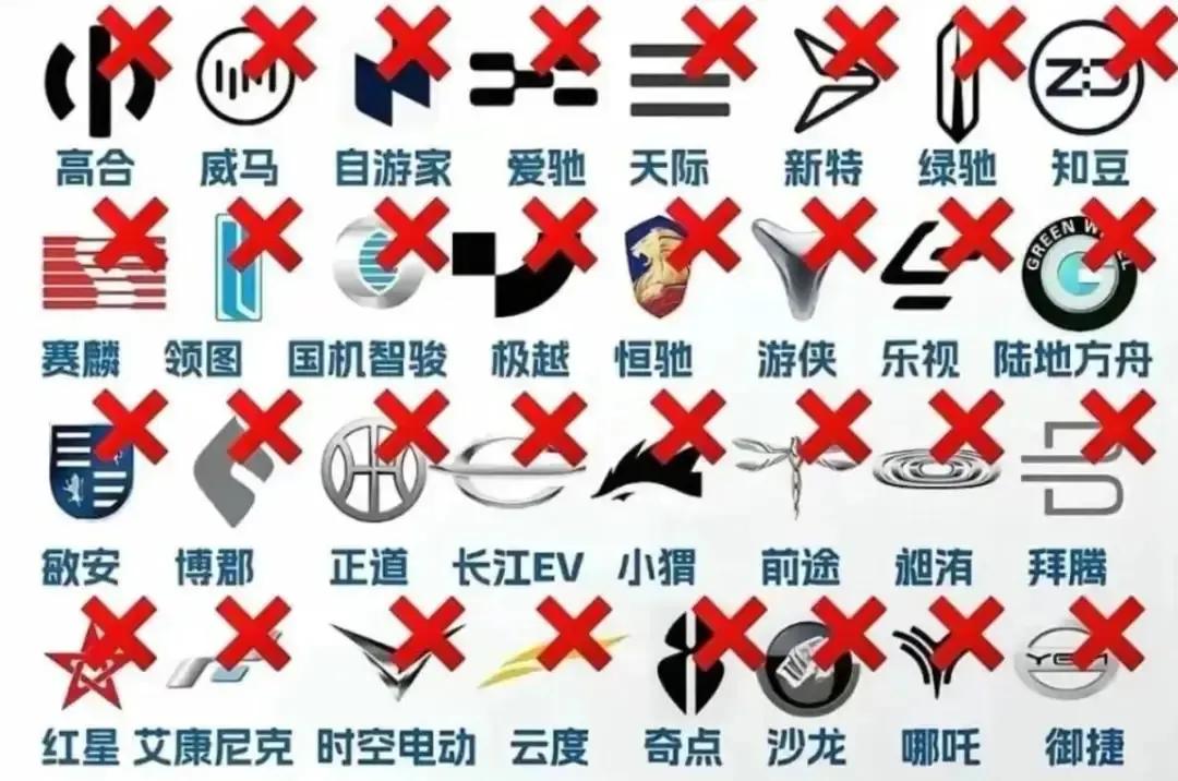 中国新能源车企是不是太多？未来还会不会淘汰一批？

一、现状：确实玩家偏多
巅峰