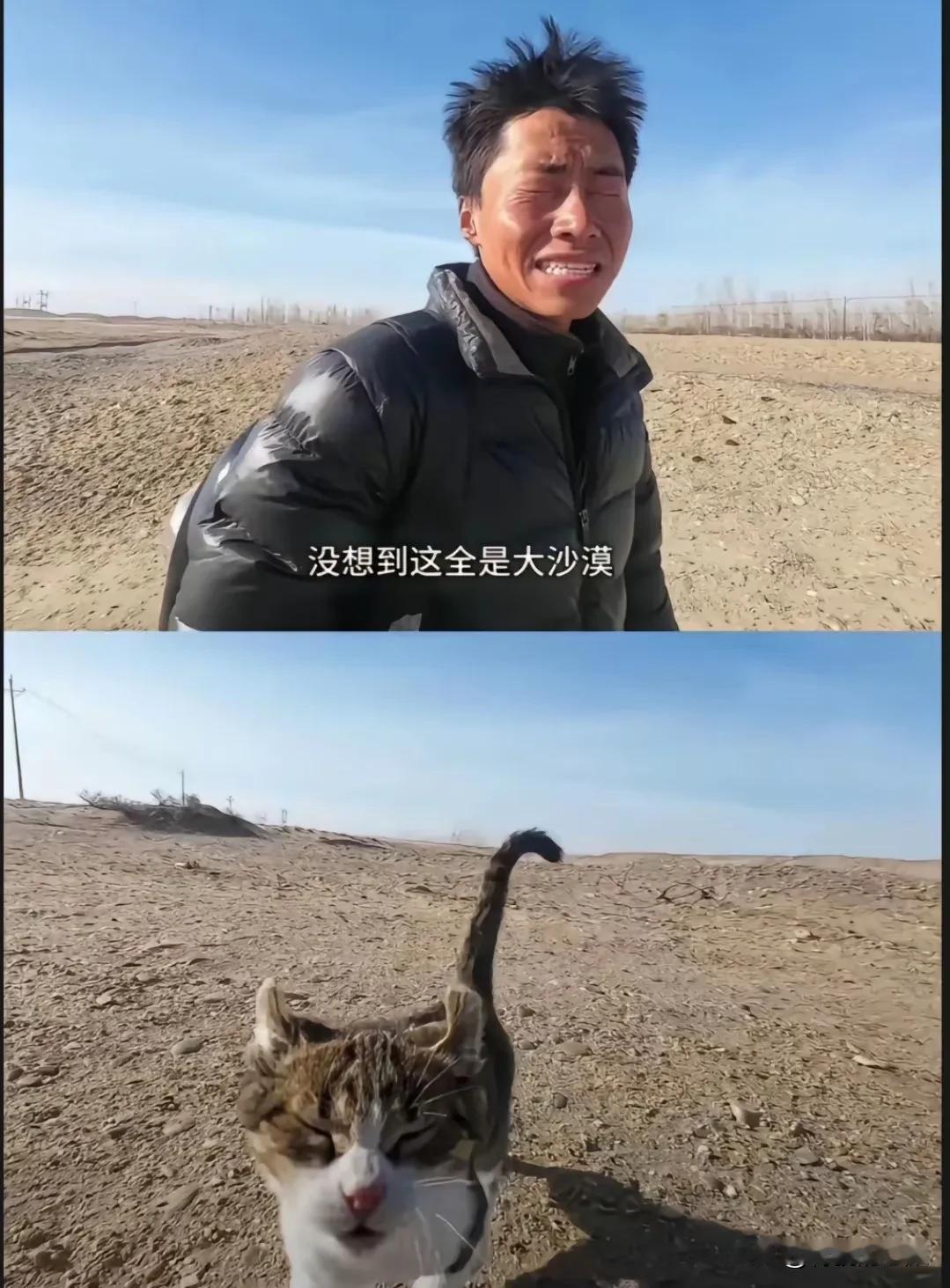 猫咪：这人怎么学我呀！