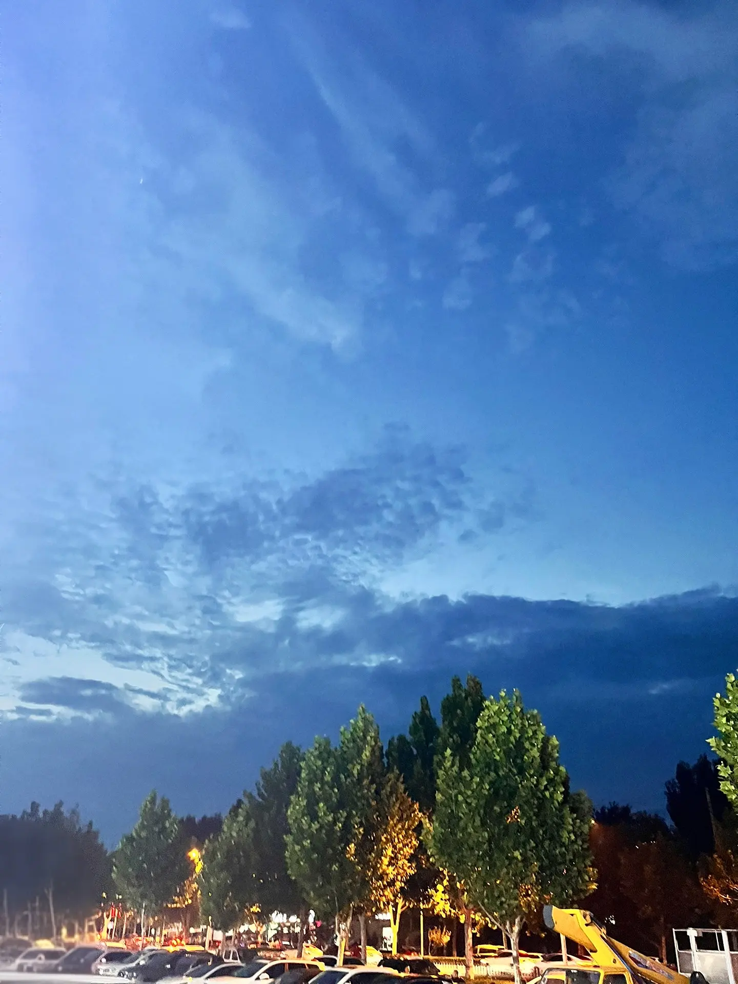 人生缓缓 自有答案