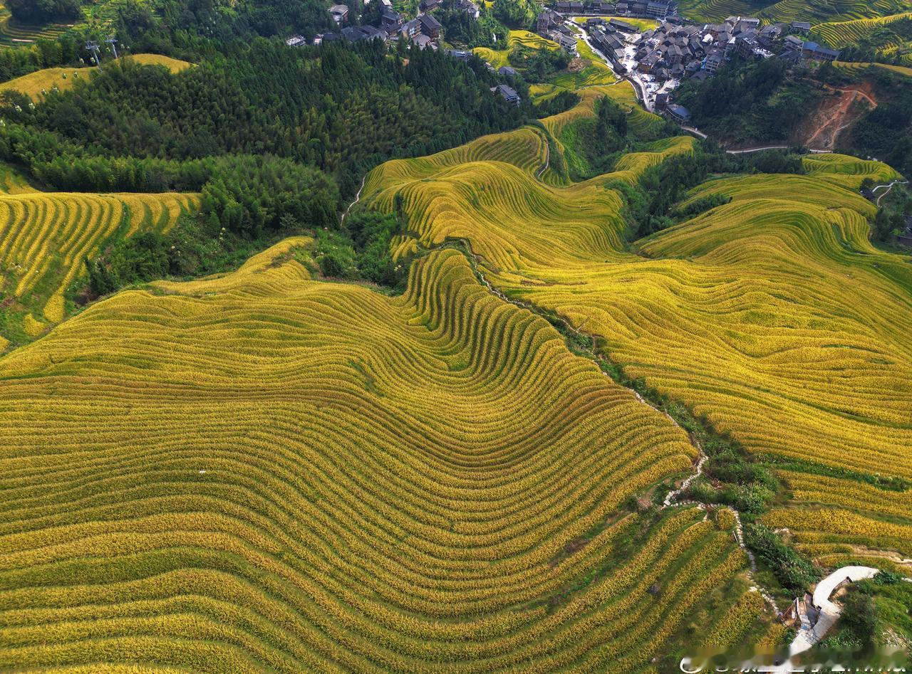 来看大地的指纹
龙脊梯田 ​​​
