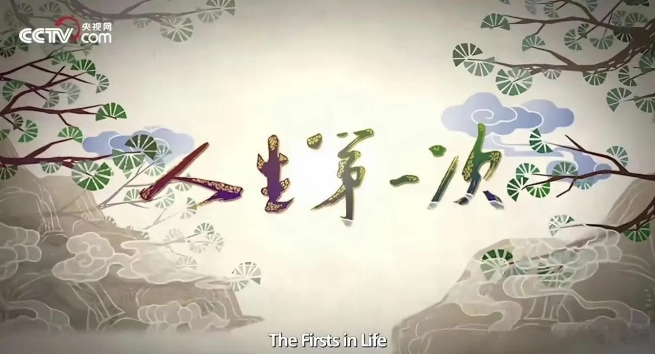 央视9.9评分的纪录片《人生第一次》一共12集，人生没有标准答案，认真生活就是最
