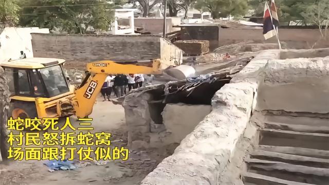 你们见过跟蛇群硬刚的村子吗？真的打出人命了！
网传有个村子发现了大蛇窝，毒蛇经常