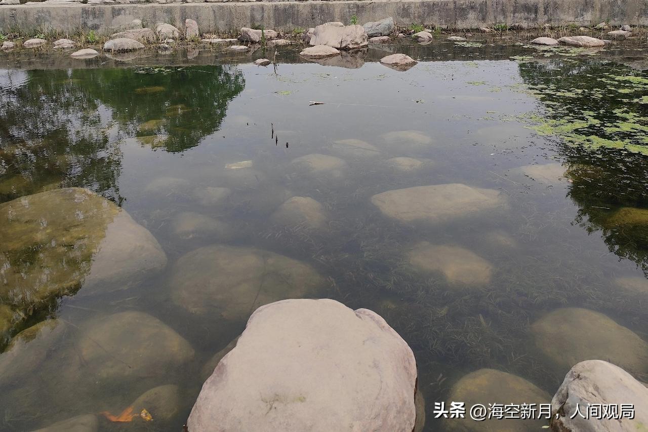 人到中年，才发现自己连人情世故都不如一个20岁的小姑娘。
 
在监控公司那几年，